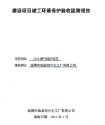 恒兴锅炉验收报告
